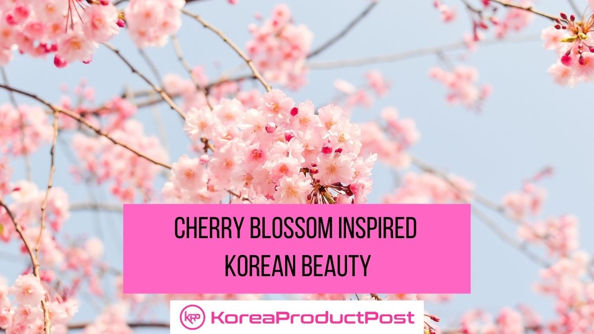 cherry blossom korean beauty