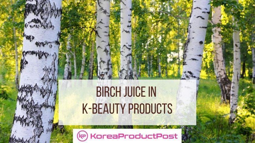 birch juice in k-beauty