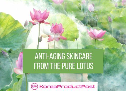 the pure lotus anti aging