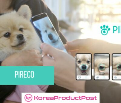 pireco korean startup