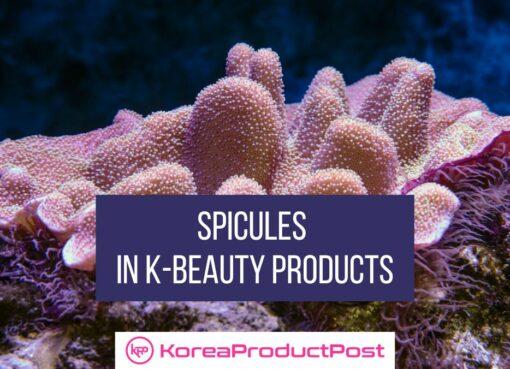 Spicules in K-Beauty Products