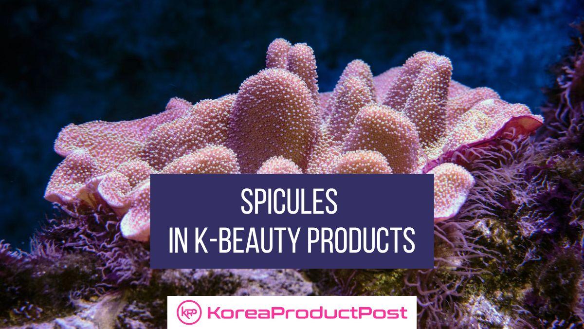 Spicules in K-Beauty Products