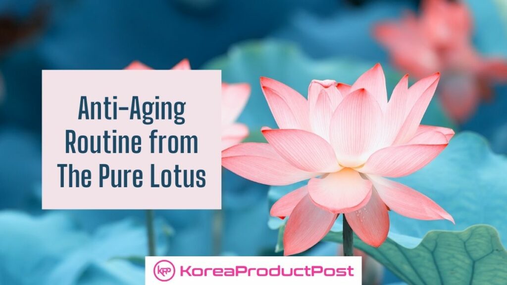 lotus winter cream for dry skin