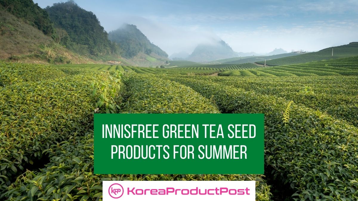 innisfree summer products