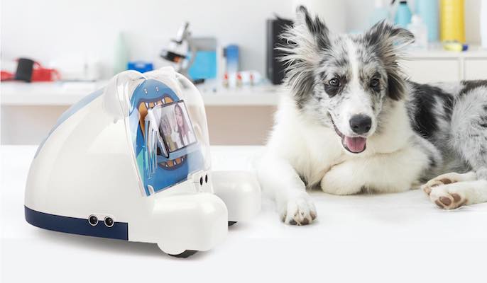 pet care robot peddy