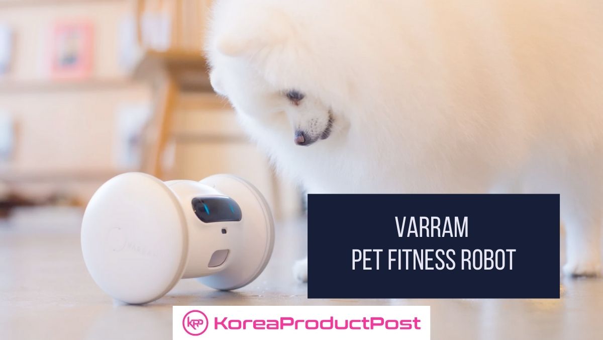 VARRAM Pet Fitness Robot