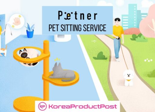 petner korean startup