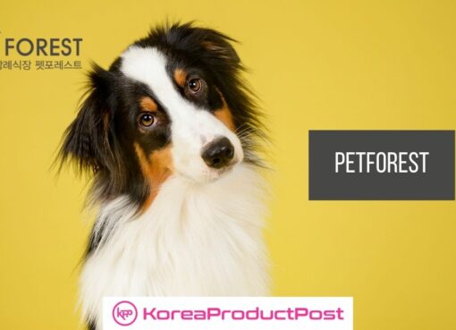 pet forest korean startup