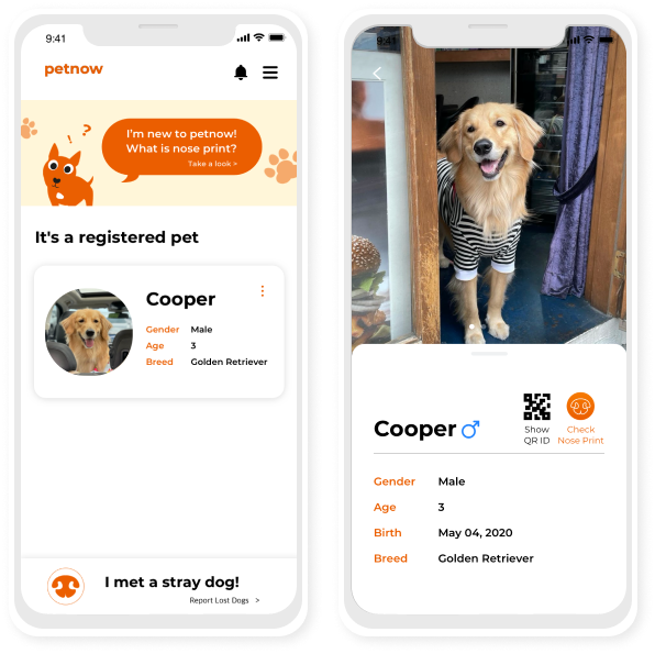 petnow app