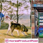 Incheon Launches Innovative Solution: Smart System for Managing Pet Waste